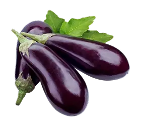 eggplant